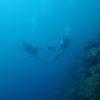 Picture taken during the dive