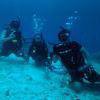 Picture taken during the dive