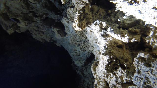 Dive Aventuras - Dive Center