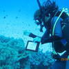 Picture taken during the dive