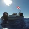 Picture taken during the dive