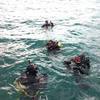 Picture taken during the dive
