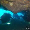 Picture taken during the dive