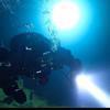 Picture taken during the dive
