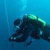 Picture taken during the dive