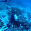 Picture taken during the dive