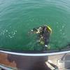 Picture taken during the dive