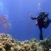 Picture taken during the dive