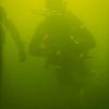 Picture taken during the dive