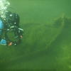 Picture taken during the dive