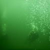 Picture taken during the dive