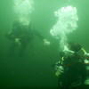 Picture taken during the dive