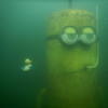 Picture taken during the dive
