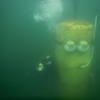 Picture taken during the dive