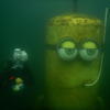 Picture taken during the dive