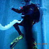 Picture taken during the dive