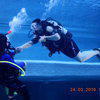 Picture taken during the dive