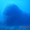 Picture taken during the dive