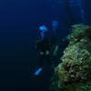 Picture taken during the dive