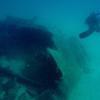 Picture taken during the dive