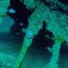 Picture taken during the dive