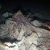 Picture taken during the dive