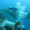 Picture taken during the dive