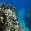 Picture taken during the dive
