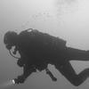 Picture taken during the dive