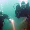 Picture taken during the dive