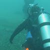 Picture taken during the dive