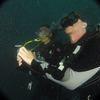 Picture taken during the dive