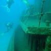 Picture taken during the dive