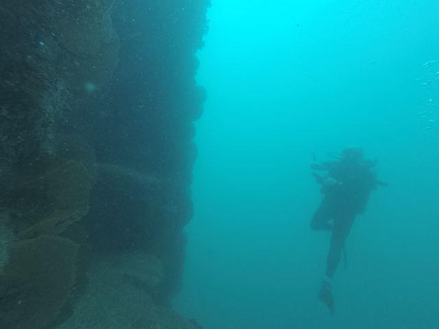Dive Cabo - Dive Center in Mexico