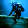 Picture taken during the dive
