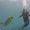 Picture taken during the dive