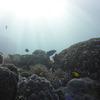 Picture taken during the dive