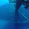 Picture taken during the dive