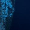 Picture taken during the dive