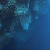 Picture taken during the dive
