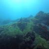 Picture taken during the dive