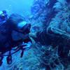 Picture taken during the dive