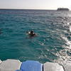 Picture taken during the dive
