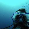 Picture taken during the dive