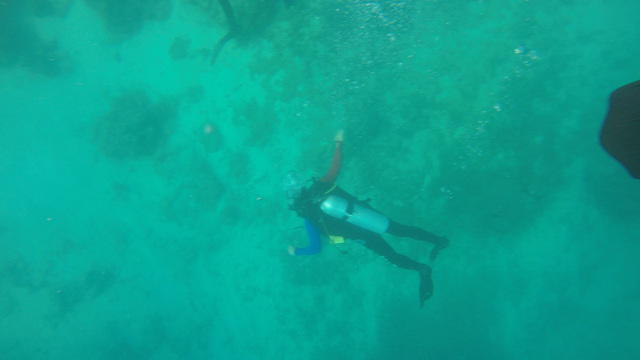 Diving in Indonesia, Pulau Tidung - By Arcen