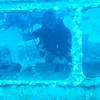 Picture taken during the dive