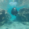 Picture taken during the dive