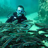 Picture taken during the dive