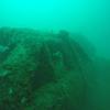 Picture taken during the dive