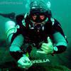 Picture taken during the dive
